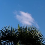 fond ecran 090907 ciel nuage palmier leogeats