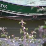 fond ecran 101119 ponton barque bords garonne saint-macaire