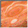 [Jupiter]